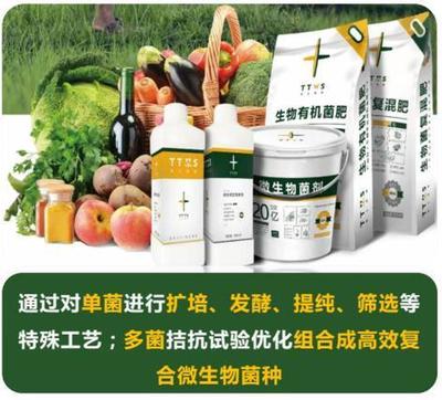 從辣椒加工到菌肥生產，她用五年搶占南方市場！_南方plus_南方+生物有機肥料研發